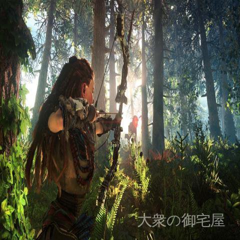 Đĩa trò chơi Horizon Zero The Dawn Trung Quốc