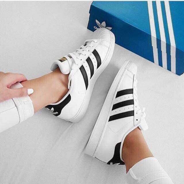 Giầy adidas super star