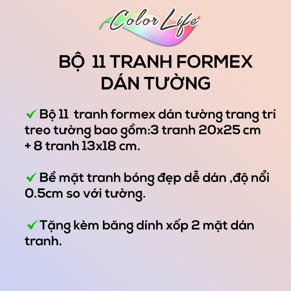 TRANH PHUN XĂM SPA TRANH DÁN PHUN XĂM SIÊU ĐẸP GIÁ RẺ SEOLIP3 ÁNH DƯƠNG SIÊU BỀN BẢO HÀNH 2 NĂM