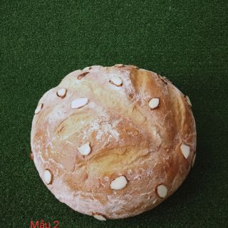 Mô hình bánh mỳ trưng bày