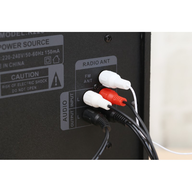 Loa Vi Tính Enkor 2.1 R228