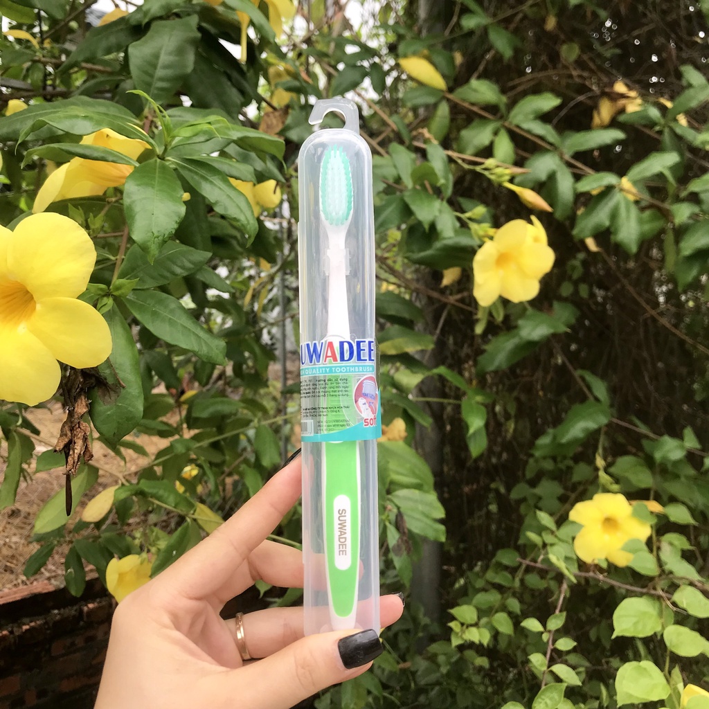 Hộp 30 Chiếc Bàn Chải Đánh Răng SUNREE Thái Lan Hộp Có Móc Treo Nhiều Màu