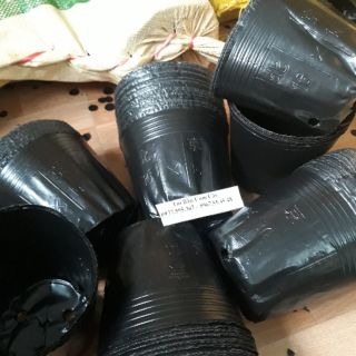 Bầu ươm cây 16x14 1kg khoảng 200 cái