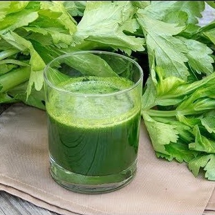 Hạt Giống Cần Tây Khổng Lồ F1 Siêu Năng Suất,Siêu Dễ Trồng