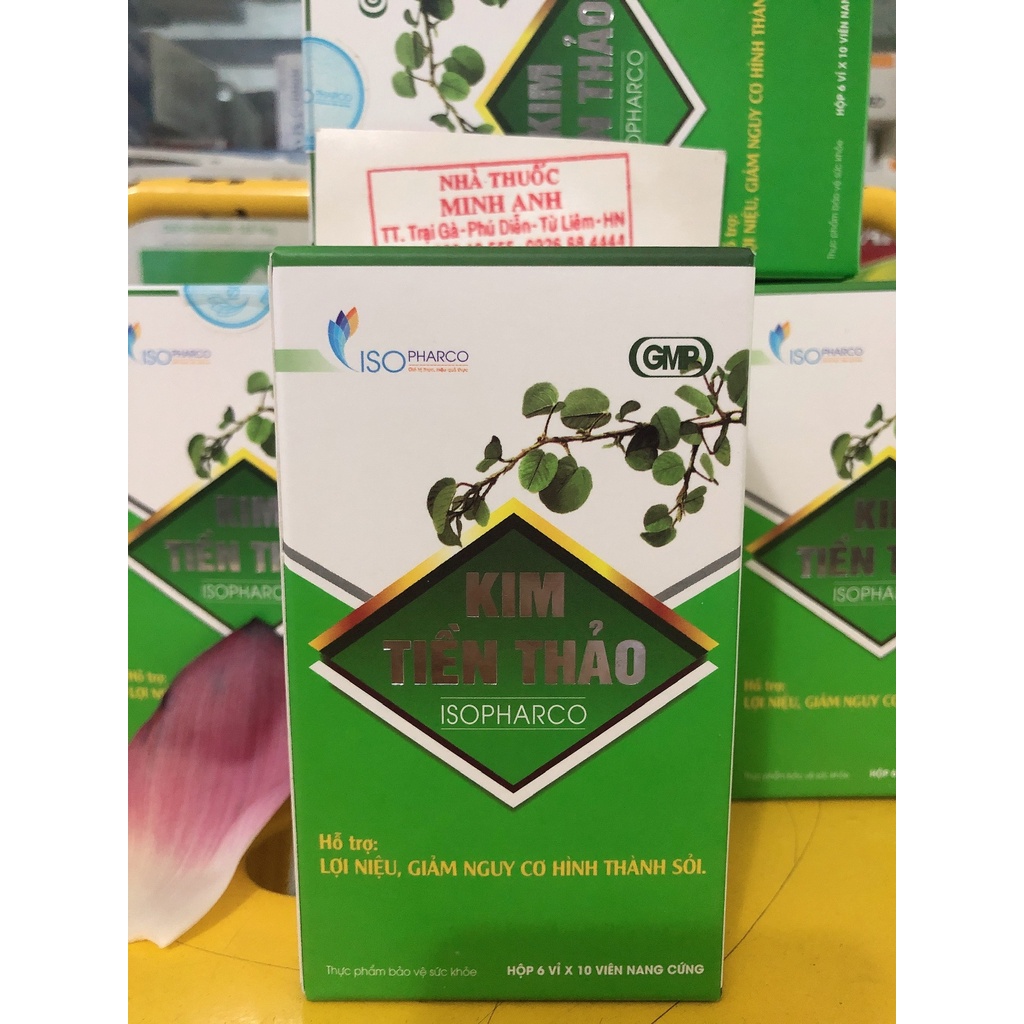 KIM TIÊN THẢO ISO