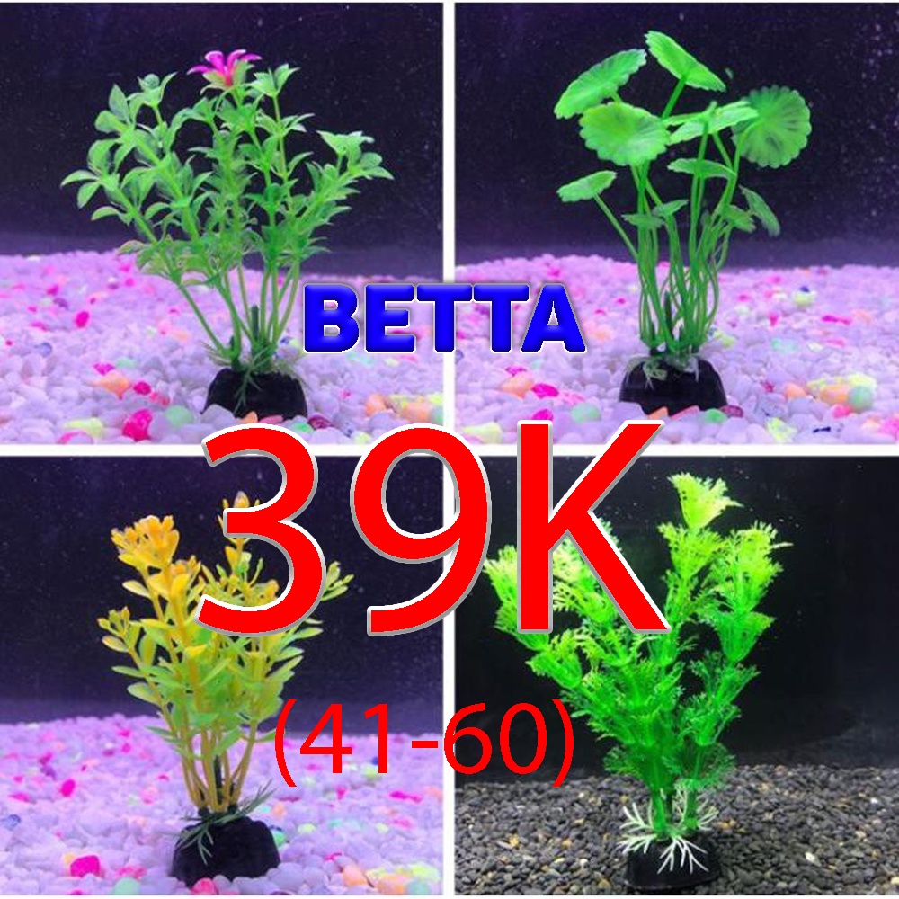 Cây Betta trang trí hồ 39k (Mã số 41-60)