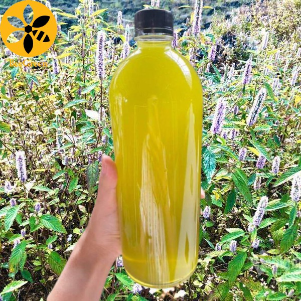 Mật Ong Bạc Hà - Mật Bạc Hà 1000ml
