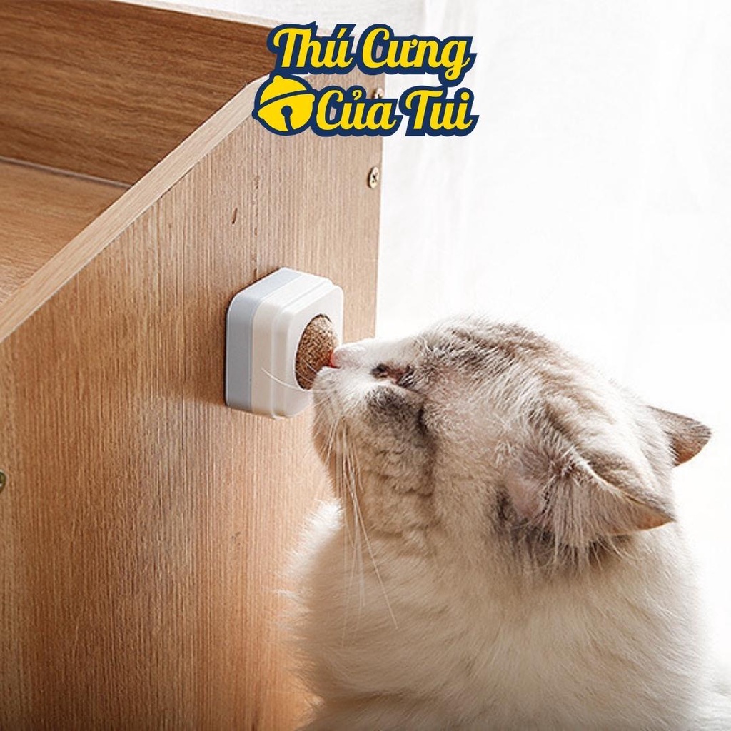 Đồ Chơi Catnip Gắn Tường Viên Cỏ Bạc Hà Cho Mèo Liếm Tiêu Búi Lông - Thú Cưng Của Tui