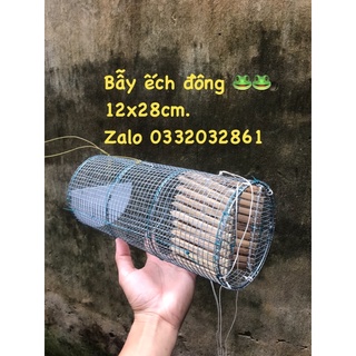 Thanh lý 10 bẫy ếch.
