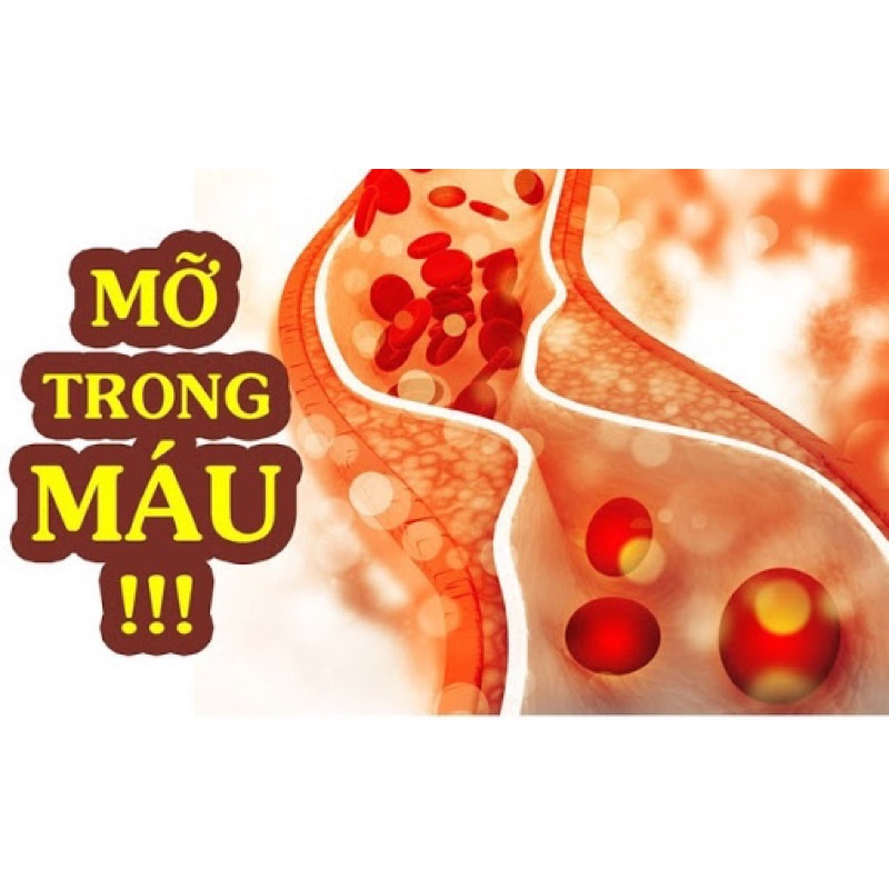[HÀNG MỚI VỀ] Viên Uống Ổn Định Huyết Áp, Tiền Đình, Tiểu Đường, Mỡ Máu Hàn Quốc