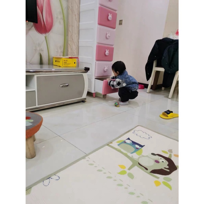 Tủ đa năng gấu thỏ holla