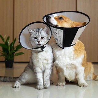 LOA CHỐNG LIẾM THÚ CƯNG | VÒNG CHỐNG LIẾM CHO CHÓ MÈO | Pets Store