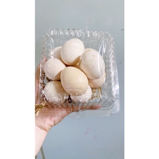 trứng gà ta- chục 10 trứng