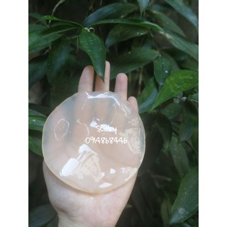 Scoby làm trà kombucha
