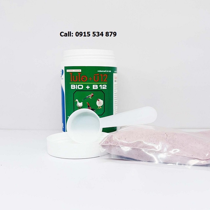 BIO B12 ÚM GÀ CON PHÒNG NGỪA TỔNG HỢP