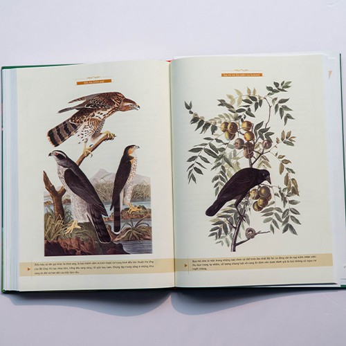 Sách - Tri Thức Kinh Điển Bằng Tranh (Trọn Bộ 4 Cuốn) - Tái Hiện Tác Phẩm Kinh Điển Bằng Ngôn Ngữ Của Trẻ