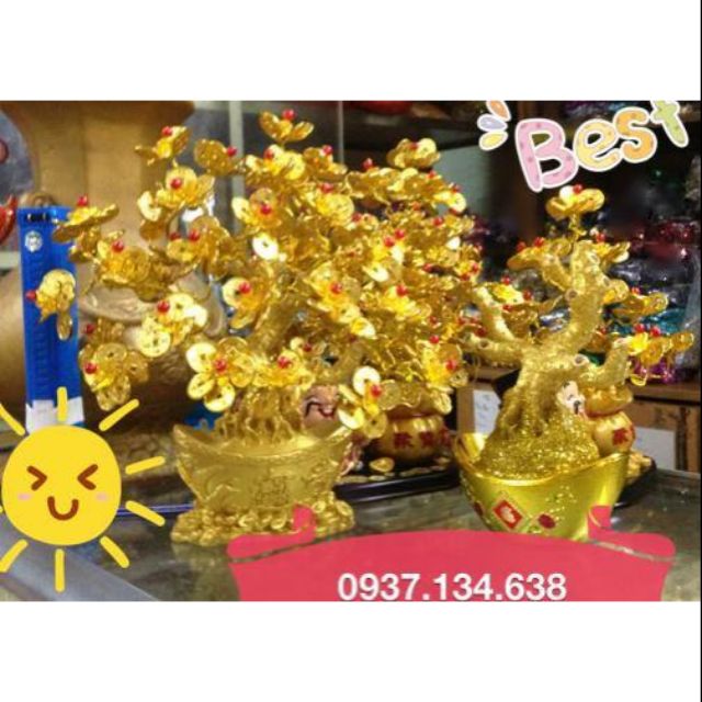 Bonsai hoa đồng tiền vàng nhuỵ thỏi vàng pha lê  phk shop