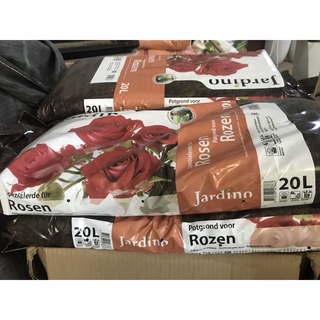 Đất trồng hoa hồng jadino Hà Lan