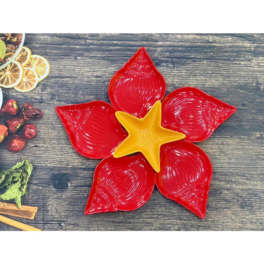 ♡ SET KHAY SAO ỐC CÁC MÀU