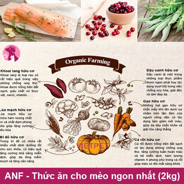 [Mã PET50 giảm 10% - tối đa 50K đơn 250K] [2kg] Thức ăn cho mèo - Hạt hữu cơ ANF Adult/ Kitten 6Free (NK Hàn Quốc)