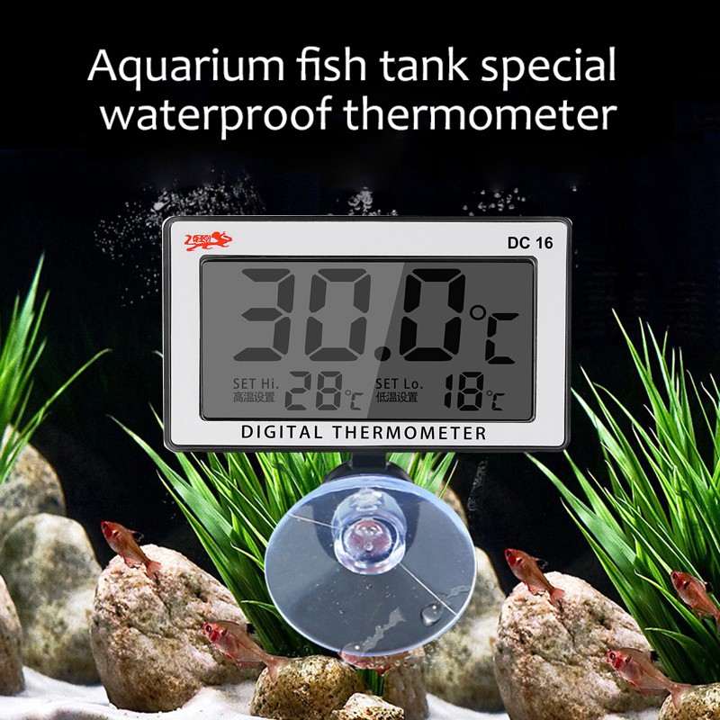 Bể cá chìm Hồ cá LCD Máy đo nhiệt độ nhiệt kế kỹ thuật số