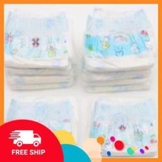 NLQK Bỉm cho chó mèo NL