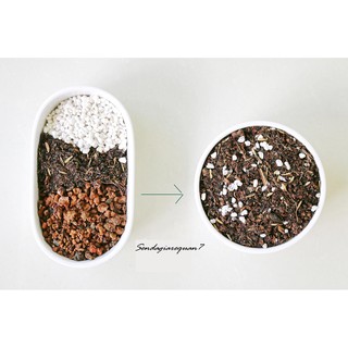 Đá Perlite ( Đá Trân Châu ) 100g