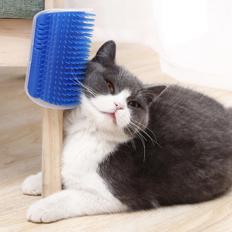 Thiết bị cào xước cho mèo góc đồ chơi bàn chải massage vật nuôi cọ xát mặt bảng