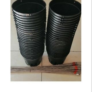 Combo 50 chậu trồng lan kèm quai  phi 16cm