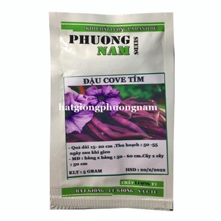 3GR - HẠT GIỐNG ĐẬU COVE TÍM