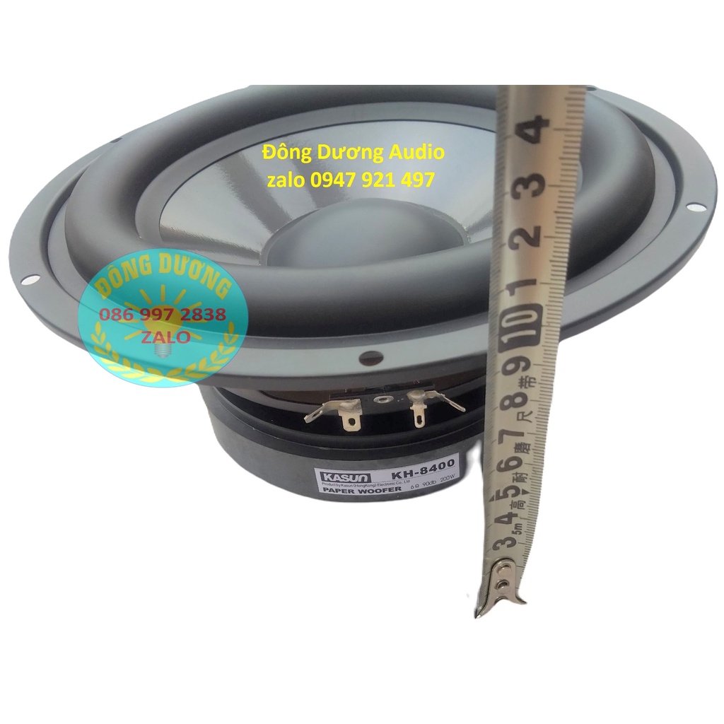 2 CHIẾC LOA BASS 2 TẤC CHÍNH HÃNG KASUN HỒNG KÔNG - LOA BASS 20 - CỦ LOA RỜI