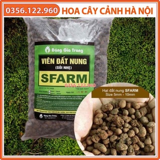 Viên đất nung (sỏi nhẹ) trồng xương rồng, sen đá, lọc nước... túi 5dm
