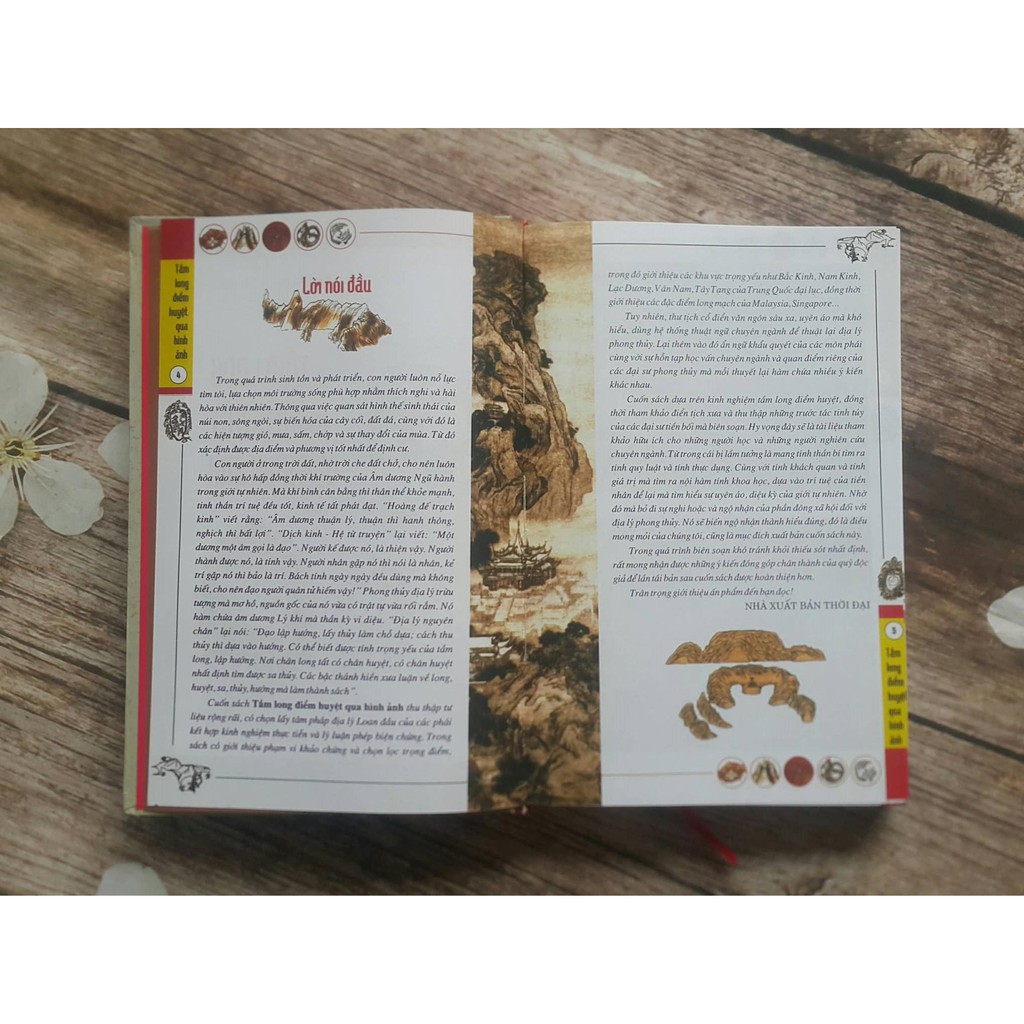 Sách - Tầm Long Điểm Huyệt Qua Hình Ảnh | BigBuy360 - bigbuy360.vn