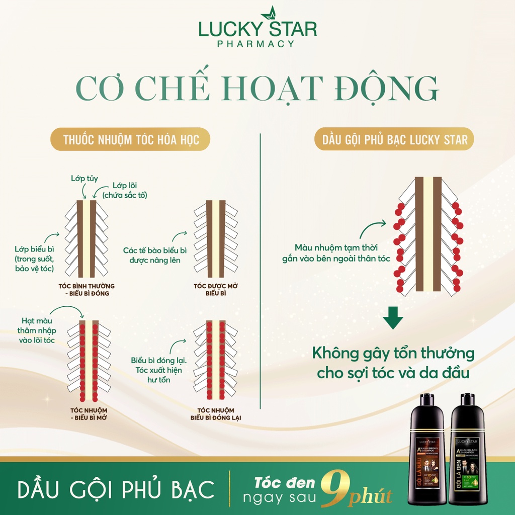 Dầu gội phủ bạc thảo dược Lucky Star 500ml, nhuộm tóc bạc, phủ đên tóc trắng tại nhà nhanh chóng