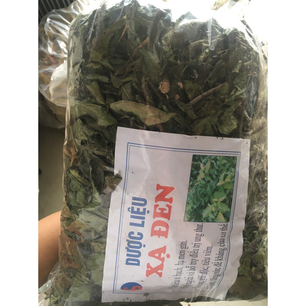 100g Cây xạ đen Hòa Bình tiêu u tiêu bướu