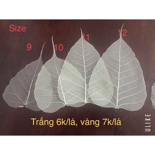 Xương lá Bồ đề