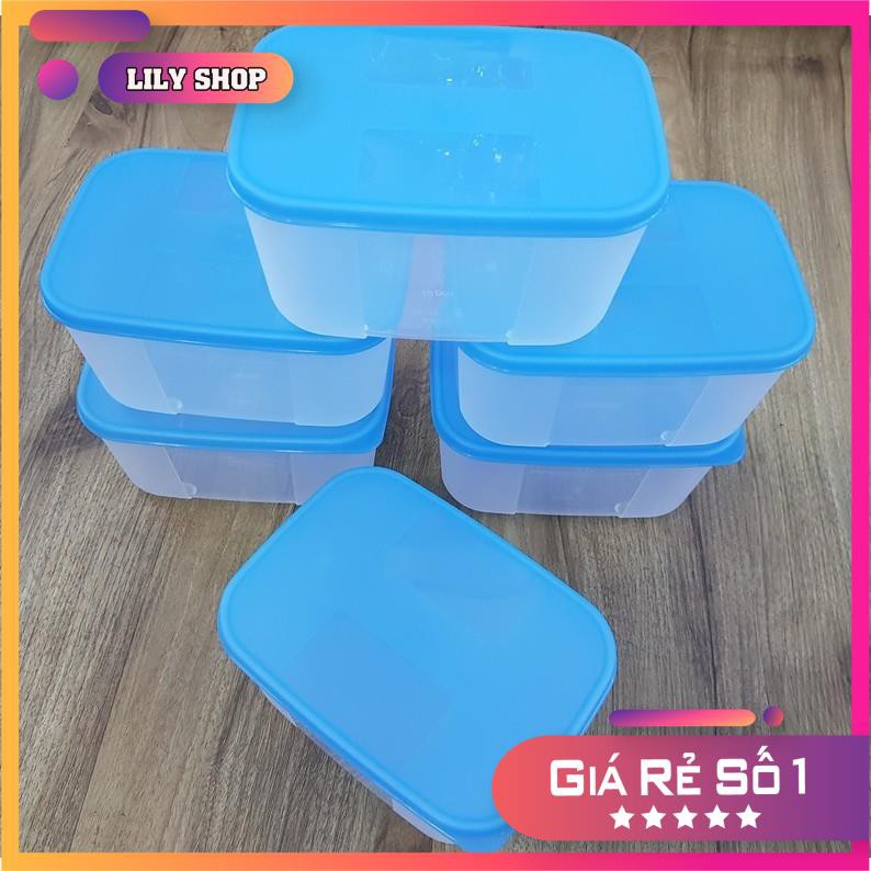 💥 GIẢM GIÁ GỐC 💥 Hộp trữ đông Freezermate 650ml 🥩 Freeship Extra 🥩Tupperware