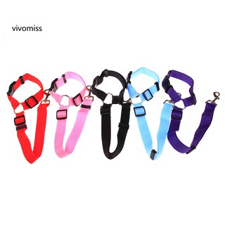 Bộ Yếm Lưới + Dây Dắt Thú Cưng Đi Dạo