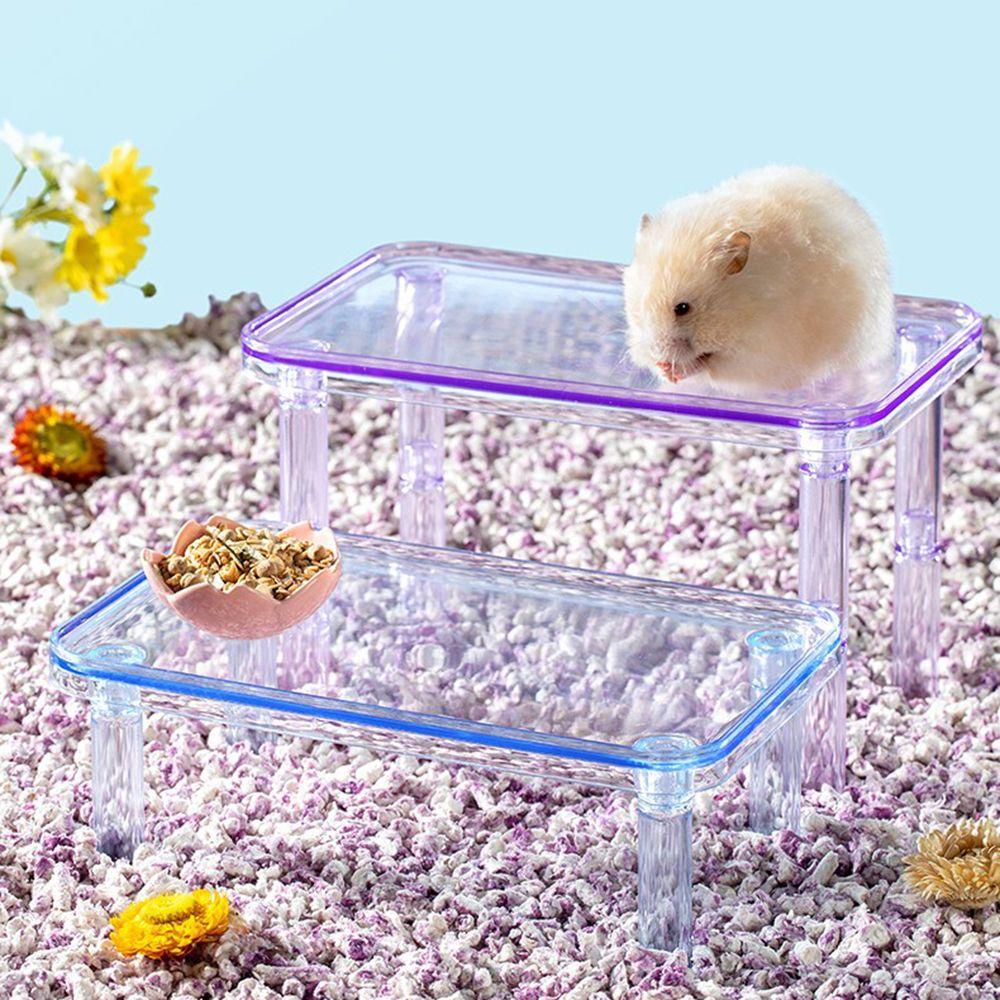 Bệ Đỡ Chuột Hamster LAYOR1|Đồ Chơi Hình Chú Gấu Xinh Xắn Đáng Yêu