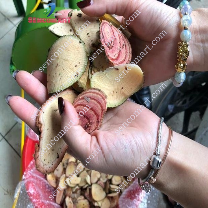 Máy Thái Thuốc Nam Thái Thuốc Bắc Năng Suất Thái 80 - 100kg/h