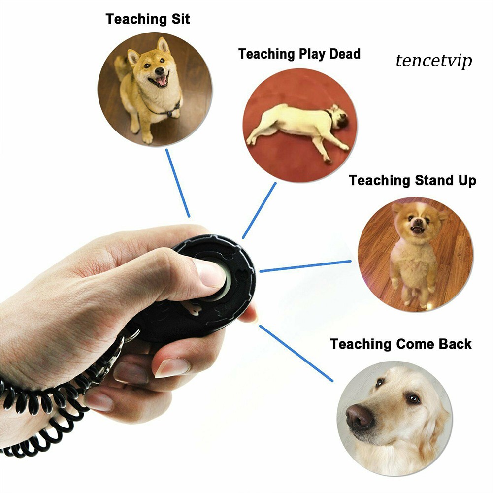 Dụng cụ huấn luyện thú cưng hình oval tiện dụng