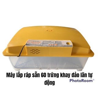 Máy ấp trứng mini ánh dương A100 ấp 60 trứng khay nhựa đảo lăn  cao cấp -hàng chính hãng.