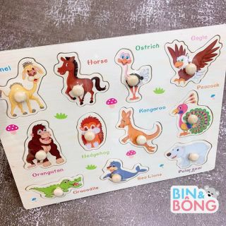 Combo 5 bảng núm gỗ