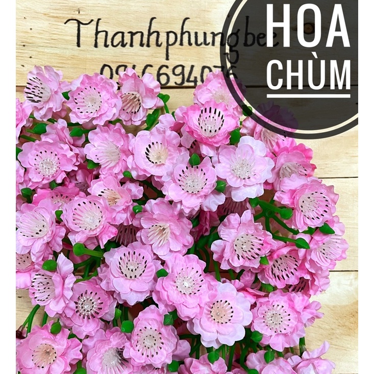 1 kg Hoa mai, đào giả (chọn kèm lá nụ kẽm búp)