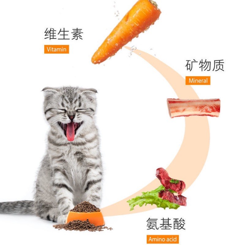 Hạt cho mèo Nourse thức ăn cho mèo tăng cân bổ sung dinh dưỡng cho mèo bầu Surica (1,8kg)