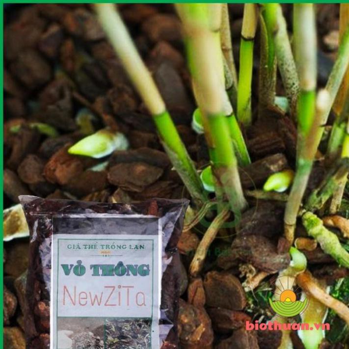 vỏ thông chất lượng cao