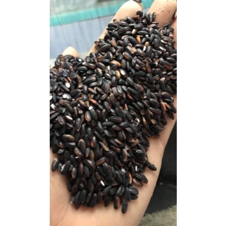 Gạo Nếp Cẩm Điện Biên, Gạo Nếp, Loại 1 ⭐⭐ - Gạo Điện Biên