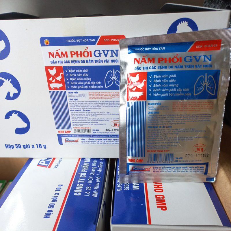 Nấm phổi GVN gà vịt ngan 10g