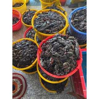 Ba khía Rạch Gốc 1kg