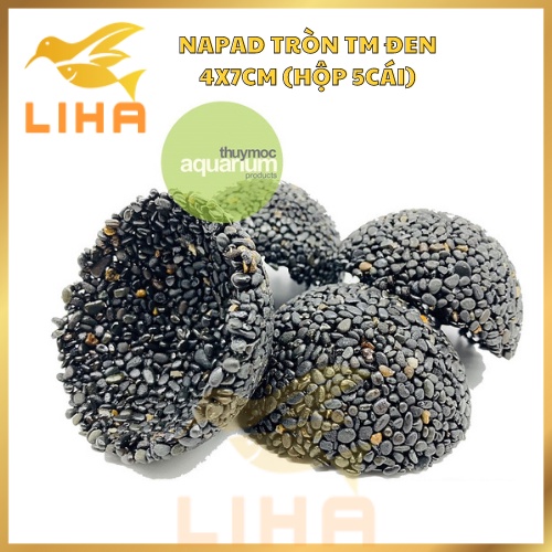 Napad Tròn TM Đen 4x7cm (Hộp 5cái) - Giá Thể Cho Trầu Bà, Bucep, Dương Xỉ, Rêu....Thủy Mộc